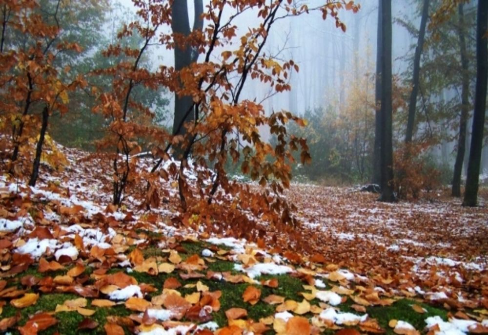 Temperaturi scăzute în majoritatea zonelor țării astăzi