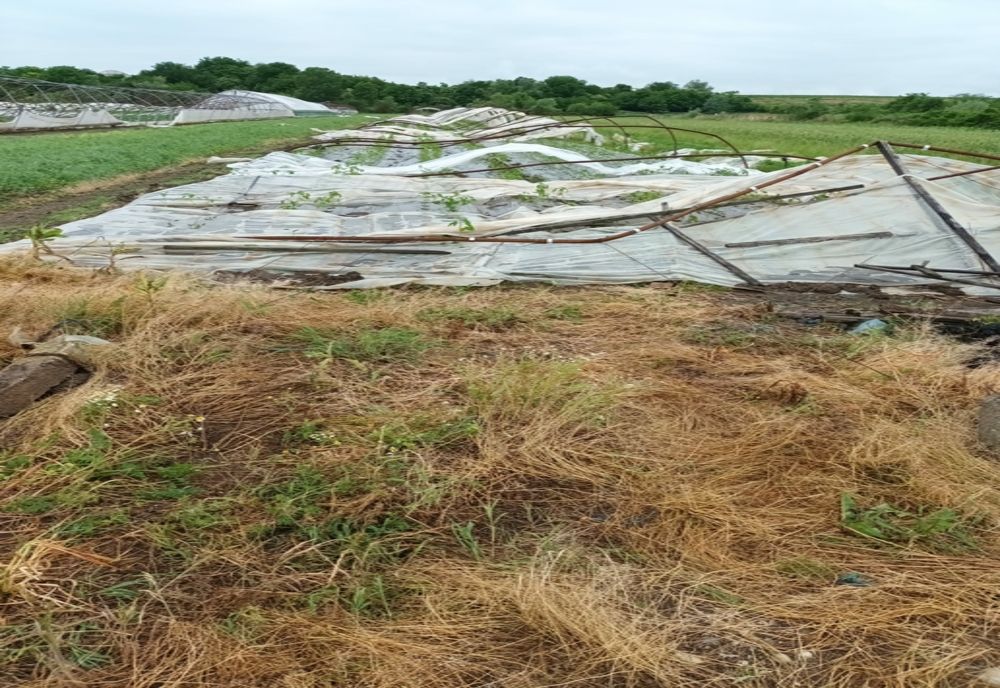 Olt: Serele agricultorilor din comuna Grădinari, distruse de vânt şi ploaie