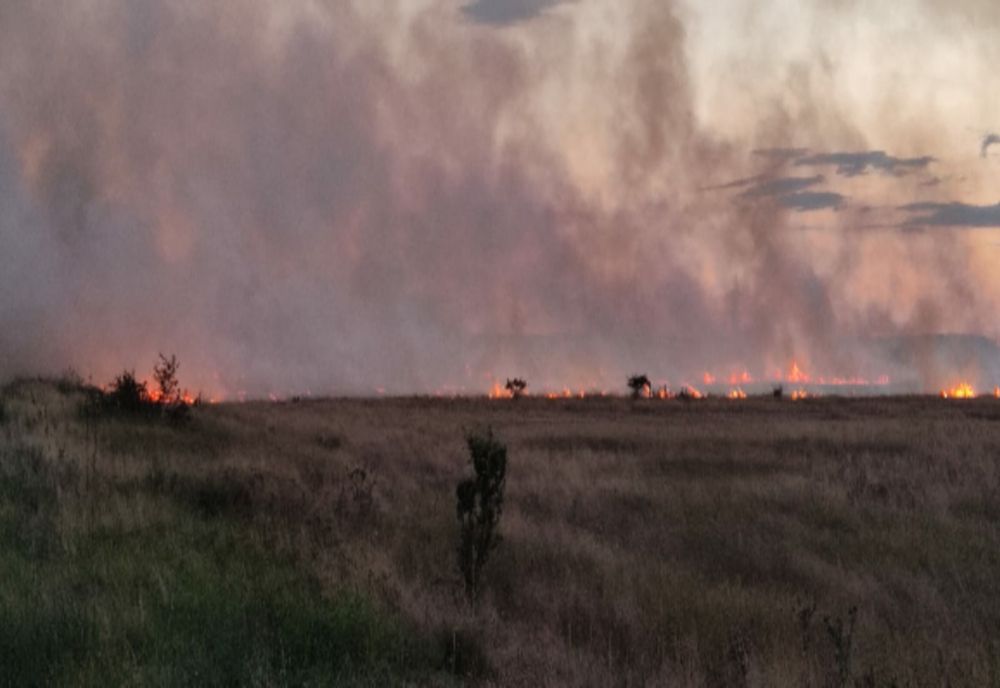 INCENDIU la un lan de grâu, într-o comună din Olt (VIDEO)
