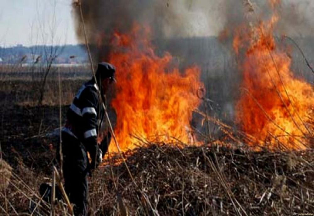 IGSU: TREI LOCALITĂȚI DIN MOLDOVA, AFECTATE DE INCENDII DE VEGETAȚIE