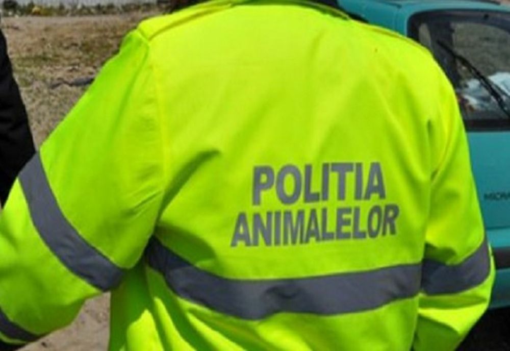 Caz șocant în Olt: Animale ucise și abandonate pe extravilanul comunei Radomirești