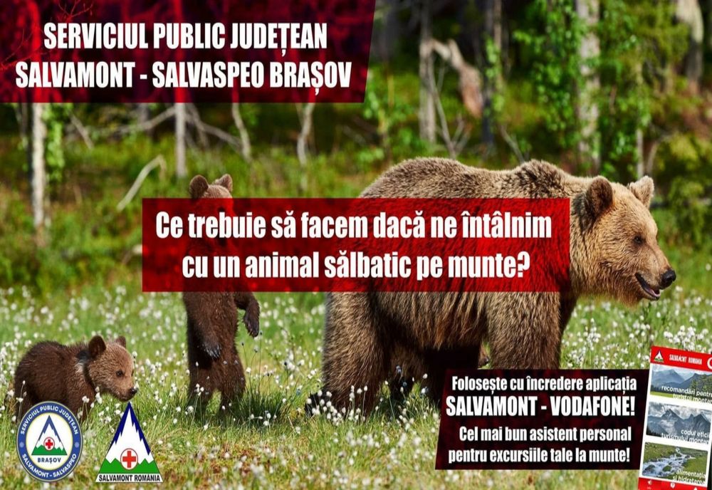 SALVAMONTIȘTII NE SPUN CE TREBUIE SĂ FACEM DACĂ ÎNTÂLNIM UN ANIMAL SĂLBATIC PE MUNTE