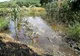 Peste 70 de gospodării din Curtişoara, afectate în continuare de apa strânsă în urma ploilor de săptămâna trecută