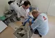 Campania de sterilizare a câinilor cu stăpân din Slatina, prelungită