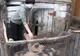 Încă un caz de pestă porcină la Rusănești. Un cioban a adus virusul periculos în sat