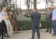 Festival roman, organizat în satul în care se află cabanele de vânătoare ale lui Ceaușescu, din Olt
