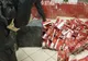 DIICOT, flagrant la Slatina. A fost destructurată o grupare de traficanţi de ţigări - FOTO&amp;VIDEO