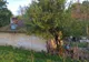 Miracolul Învierii s-a produs mai devreme pentru o familie săracă din Olt- FOTO