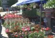 Expo- Flora se deschide mâine la Slatina. Câți comercianți sunt așteptați