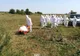 Încă un focar de pestă porcină la granița județului. Alertă în două localități