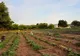 Salariile oltenilor, în continuă creștere. Cei mai câștigați sunt cei care lucrează în agricultură
