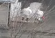 VIDEO. O femeie de 72 de ani din Olt, care a fost internată la Gerota, confirmată cu COVID-19