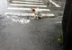 Slatina: Un câine abandonat într-un sac de rafie