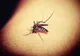 Alertă sanitară majoră! 4 cazuri de meningită virală, raportate în România - Infecția, cauzată de virusul West Nile