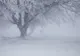 ANM: ATENȚIONĂRI NOWCASTING DE FENOMENE METEO EXTREME