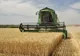 ROMÂNIA A FOST AL ŞAPTELEA PRODUCĂTOR AGRICOL DIN UE ÎN 2023
