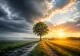 Vremea se schimbă în România. Cod galben de vânt în sud-est și temperaturi ridicate în vest