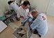 Campania de sterilizare a câinilor cu stăpân din Slatina, prelungită
