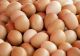 Alte 260.000 de ouă cu Fipronil, ridicate de la ferma din Scornicești