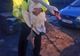 FOTO - Un polițist cu suflet mare. A salvat o lebădă prinsă într-o capcană și a eliberat-o