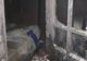 O familie din Olt a rămas fără casă, în urma unui incendiu de proporţii - FOTO&amp;VIDEO