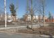 Mobilizare generală pe șantierul noului parc din Slatina. S-au plantat 400 de copaci mari