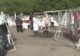 Veterinarii au făcut bilanțul mieilor sacrificați de Paște în Olt