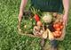 Zeci de fermieri din Olt practică agricultura ecologică. Ce facilități li se oferă
