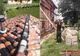Un conac monument istoric din Olt, reabilitat de un ONG. În această primăvară au fost reluate lucrările
