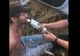 Șofer prins cu focuri de armă, după o urmărire prin două comune din Olt- VIDEO- dialogul cu polițistul