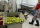 Milioane de euro, oferite fermierilor care investesc în fabrici de procesare a fructelor.