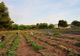 Salariile oltenilor, în continuă creștere. Cei mai câștigați sunt cei care lucrează în agricultură