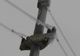 Zeci de localităţi din Olt, fără energie electrică din cauza zăpezii