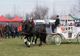 Olt: Sărbătoarea cabalină tradiţională de la Brâncoveni, anulată din cauza pandemiei