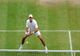 Horia Tecău, eliminat în turul doi la Wimbledon