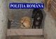 Poliţiştii au făcut nouă percheziţii la braconierii din Olt şi Teleorman. Ce au găsit