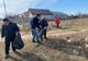 Perdea forestieră pe 10 hectare, la marginea unui oraş din Olt