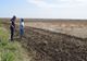 Fermierii din Olt care fac agricultură conservativă şi seamănă fără arătură (VIDEO)