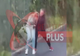 DOVADA INCONTESTABILĂ A AGRESIUNII. Anamaria Prodan, luată la pumni de Reghecampf - VIDEO ȘOCANT. Momentul în care bărbatul lansează PRIMUL ATACUL