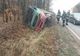 TIR încărcat cu porci, răsturnat în judeţul Olt (VIDEO)