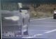 Nereguli la radar: Un autoturism a accelerat, într-o secundă, de la 112 km/h, la 152 km/h, revenind la 116 km/h (VIDEO)