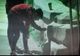 Craiova: Doi tineri din Slatina, amendaţi după ce au vandalizat podul suspendat din Parcul „Nicolae Romanescu”