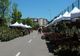 Eveniment dedicat florilor, în weekend, la Slatina